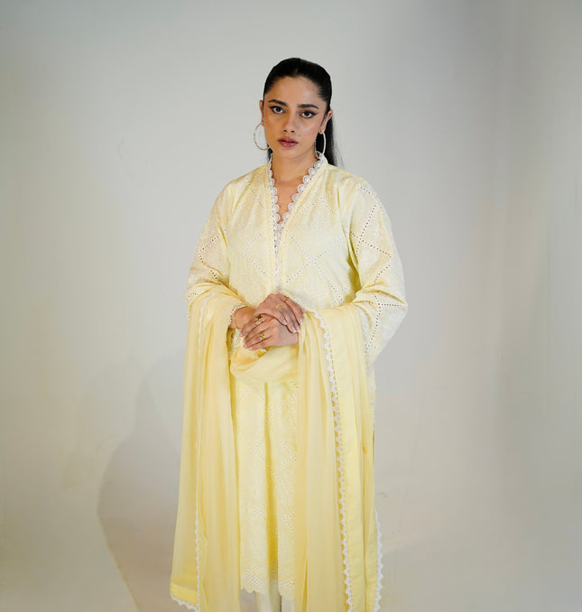 Lemon Chikankari Suit — back view