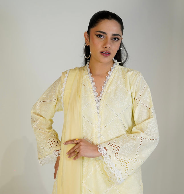 Lemon Chikankari 2-Piece Suit — front view